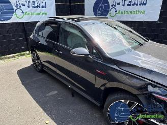 Volkswagen Golf Golf VIII (CD1), Hatchback, 2019 2.0 GTI 16V picture 10