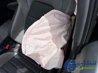 Volkswagen Golf Golf VIII (CD1), Hatchback, 2019 2.0 GTI 16V picture 15