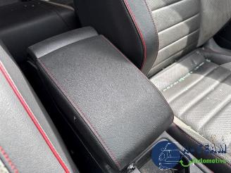 Volkswagen Golf Golf VIII (CD1), Hatchback, 2019 2.0 GTI 16V picture 27