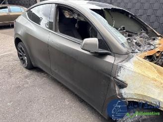 Tesla Model Y Model Y (5YJY), SUV, 2019 / 2025 Long Range,Performance picture 10