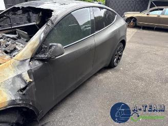 Tesla Model Y Model Y (5YJY), SUV, 2019 / 2025 Long Range,Performance picture 6
