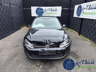 Volkswagen Golf Golf VII (AUA), Hatchback, 2012 / 2021 1.2 TSI 16V picture 2