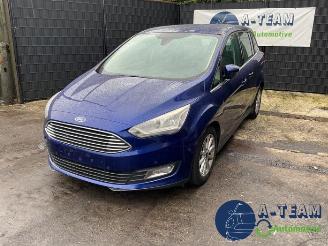 Dezmembrări autoturisme Ford Grand C-Max Grand C-Max (DXA), MPV, 2010 / 2019 1.0 Ti-VCT EcoBoost 12V 125 2017/8