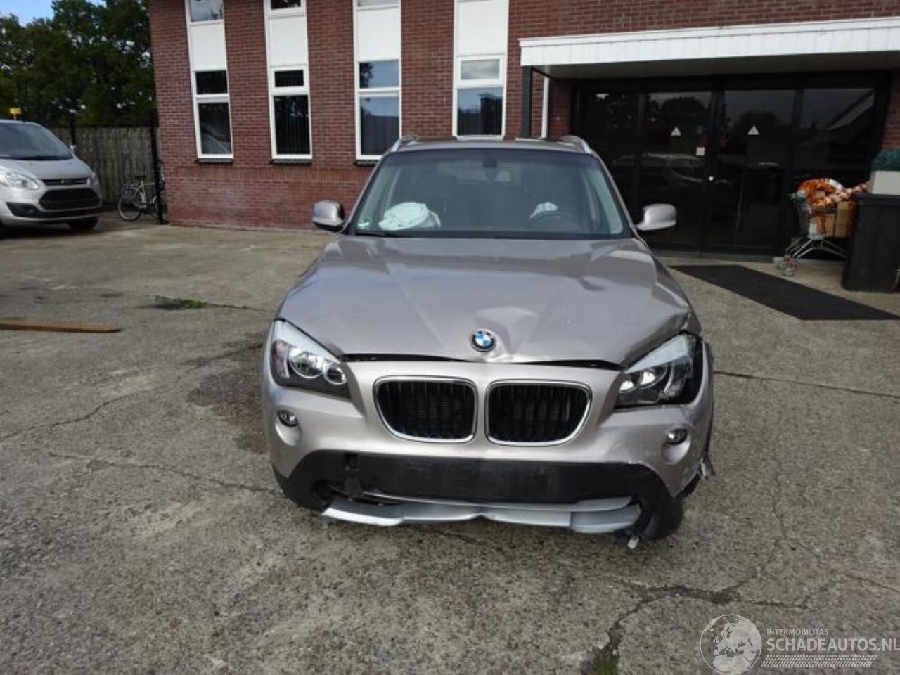 BMW X1 X1 (E84), SUV, 2009 / 2015 xDrive 20d 2.0 16V