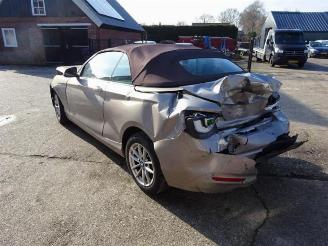 BMW 2-serie 2 serie (F23), Cabrio, 2014 / 2021 218i 1.5 TwinPower Turbo 12V picture 3