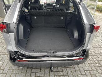 Toyota Rav-4 2.5 Hybrid Bi-Tone picture 11