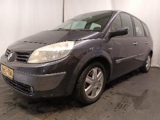 Renault Scenic Grand Scénic II (JM) MPV 2.0 16V (F4R-770(Euro 4)) [99kW]  (04-2004/=
06-2009) picture 3