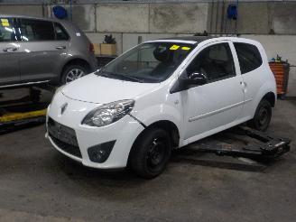 demontáž osobní automobily Renault Twingo Twingo II (CN) Hatchback 3-drs 1.2 16V (D4F-772(D4F-J7)) [56kW]  (03-2=
007/09-2014) 2008