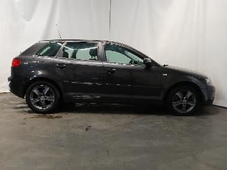 Audi A3 A3 Sportback (8PA) Hatchback 5-drs 1.6 (BGU) [75kW]  (09-2004/03-2013)= picture 7