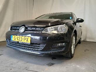 škoda osobní automobily Volkswagen Golf Golf VII Variant (AUVV) Combi 1.6 TDI BlueMotion 16V (CRKB) [81kW]  (0=
5-2013/12-2020) 2014/11