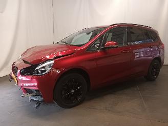 BMW 2-serie 2 serie Gran Tourer (F46) MPV 216d 1.5 TwinPower Turbo 12V (B37-C15A) =
[85kW]  (03-2015/...) picture 3