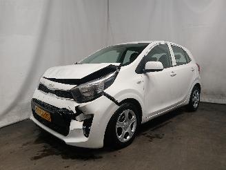 Kia Picanto Picanto (JA) Hatchback 1.0 DPI 12V (G3LD) [46kW]  (05-2024/...) picture 3