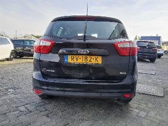 Ford C-Max C-Max (DXA) MPV 1.0 Ti-VCT EcoBoost 12V 125 (M1DA(Euro 5)) [92kW]  (10=
-2012/06-2019) picture 6
