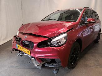 Unfallwagen BMW 2-serie 2 serie Gran Tourer (F46) MPV 216d 1.5 TwinPower Turbo 12V (B37-C15A) =
[85kW]  (03-2015/...) 2016/1