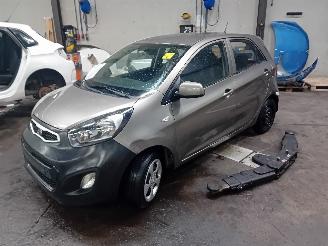 demontáž osobní automobily Kia Picanto Picanto (TA) Hatchback 1.0 12V (G3LA) [51kW]  (05-2011/06-2017) 2013/9