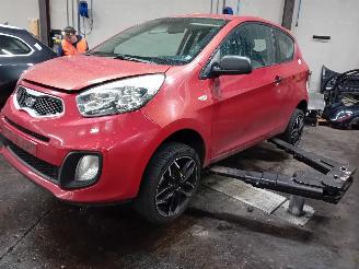  Kia Picanto Picanto (TA) Hatchback 1.2 16V (G4LA5) [63kW]  (09-2011/06-2017) 2012/3