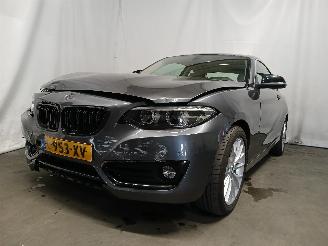 BMW 2-serie 2 serie (F22) Coupé 218i 1.5 TwinPower Turbo 12V (B38-B15A) [100kW] =
 (03-2015/06-2021) 2018/5