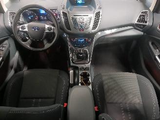 Ford Grand C-Max Grand C-Max (DXA) MPV 1.0 Ti-VCT EcoBoost 12V 125 (M1DA(Euro 5)) [92kW=
]  (10-2012/06-2019) picture 11