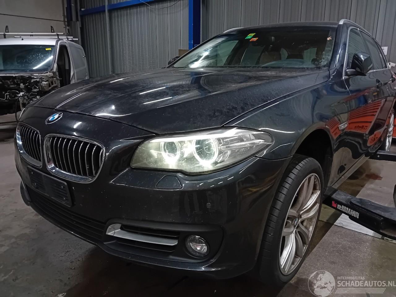BMW 5-serie 5 serie Touring (F11) Combi 525d xDrive 16V (N47-D20D) [160kW]  (07-20=
13/02-2017)