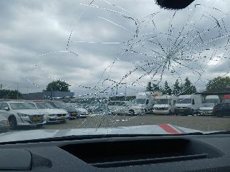 Renault Express Express Van 1.5 dCi 75 (K9K-876(K9K-U8)) [55kW]  (05-2021/...) picture 21