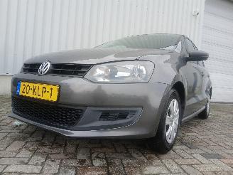 Avarii autoturisme Volkswagen Polo Polo V (6R) Hatchback 1.2 12V (CGPB(Euro 5)) [44kW]  (06-2009/05-2014)= 2010/1