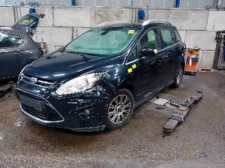 Salvage car Ford Grand C-Max Grand C-Max (DXA) MPV 1.6 EcoBoost 16V (JQDA(Euro 5)) [110kW]  (12-201=
0/06-2019) 2011/7