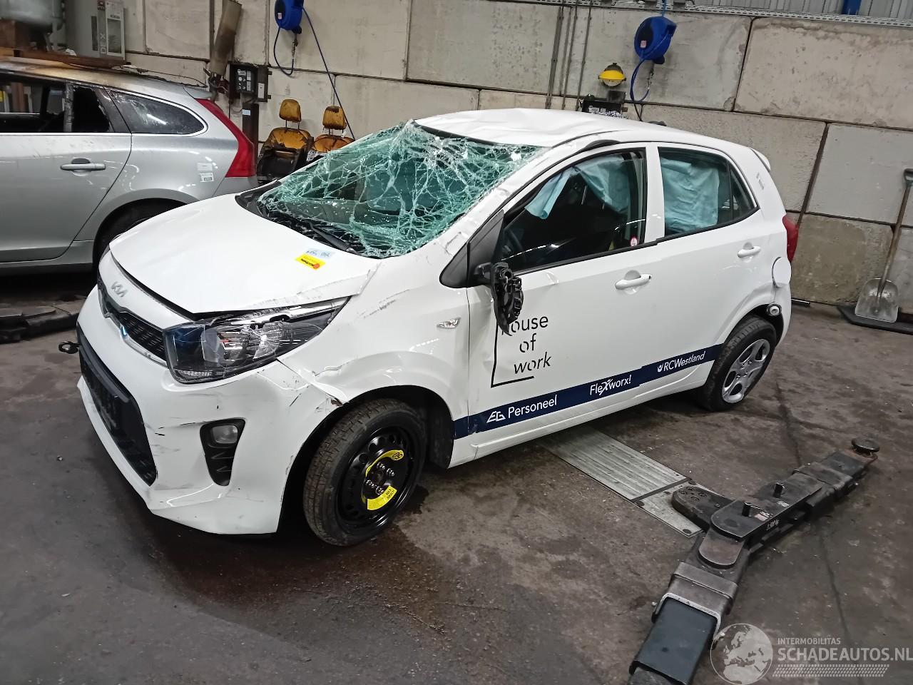 Kia Picanto Picanto (JA) Hatchback 1.0 12V (G3LD) [49kW]  (03-2017/...)