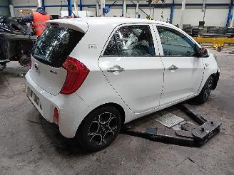 Kia Picanto Picanto (TA) Hatchback 1.0 12V (G3LA) [49kW]  (05-2011/06-2017) picture 3