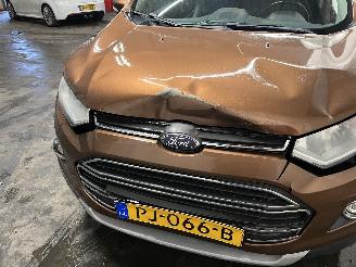 Ford EcoSport EcoSport (JK8) SUV 1.0 EcoBoost 12V 125 (M1JJ) [92kW]  (10-2013/...) picture 23