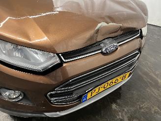 Ford EcoSport EcoSport (JK8) SUV 1.0 EcoBoost 12V 125 (M1JJ) [92kW]  (10-2013/...) picture 24
