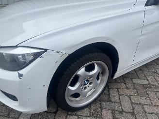 BMW 3-serie 3 serie (F30) Sedan 320i 2.0 16V (N20-B20A) [180kW]  (11-2011/10-2018)= picture 22