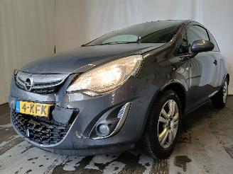 Schadeauto Opel Corsa Corsa D Hatchback 1.2 16V (A12XER(Euro 5)) [63kW]  (12-2009/08-2014) 2013/3