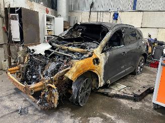 Vrakbiler auto Ford Kuga Kuga III (DFK) SUV 2.5 PHEV 16V (BGDA) [165kW]  (07-2019/...) 2023/7