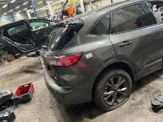 Ford Kuga Kuga III (DFK) SUV 2.5 PHEV 16V (BGDA) [165kW]  (07-2019/...) picture 3