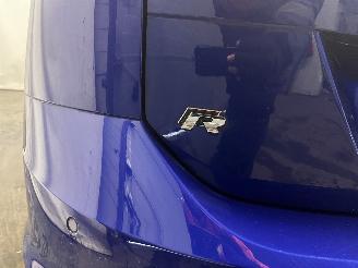 Volkswagen Golf Golf VII Variant (AUVV) Combi 2.0 R 4Motion 16V (CJXC) [221kW]  (03-20=
15/08-2020) picture 35