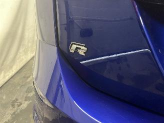 Volkswagen Golf Golf VII Variant (AUVV) Combi 2.0 R 4Motion 16V (CJXC) [221kW]  (03-20=
15/08-2020) picture 36