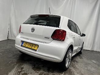 Volkswagen Polo Polo V (6R) Hatchback 1.2 12V (CGPB(Euro 5)) [44kW]  (06-2009/05-2014)= picture 5