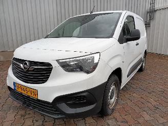 damaged passenger cars Opel Combo Combo Cargo Van 1.6 CDTI 75 (B16DTL(DV6FE)) [55kW]  (06-2018/04-2021) 2019/1