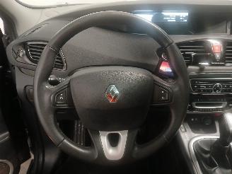 Renault Scenic Grand Scénic III (JZ) MPV 2.0 16V CVT (M4R-F713) [103kW]  (02-2009/1=
2-2016) picture 19