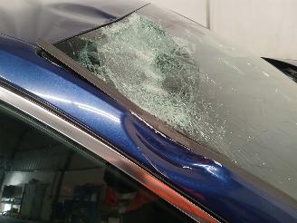 Audi A4 A4 Avant (B9) Combi 1.4 TFSI 16V (CVNA) [110kW]  (02-2016/10-2019) picture 28