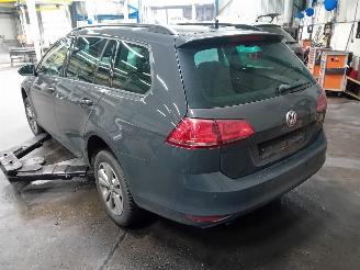 Volkswagen Golf Golf VII Variant (AUVV) Combi 1.6 TDI BlueMotion 16V (CXXB) [81kW]  (0=
5-2013/12-2020) picture 4