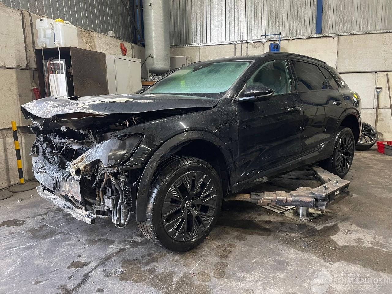 Audi Q8 Q8 E-tron (GEG) SUV 55 Quattro 115 kWh (EDEA) [300kW]  (11-2022/...)