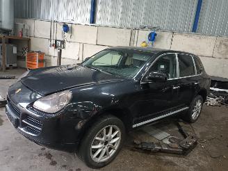  Porsche Cayenne Cayenne (9PA) SUV 3.2 V6 24V (M02.2Y) [184kW]  (10-2003/02-2007) 2006/2