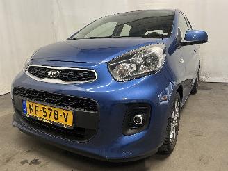 Schadeauto Kia Picanto Picanto (TA) Hatchback 1.0 12V (G3LA) [49kW]  (05-2011/06-2017) 2017/1