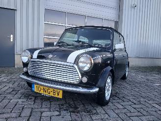 škoda osobní automobily Rover Mini Mini Sedan 1300 Cooper (12A2AF53) [45kW]  (01-1991/12-1991) 1994/2