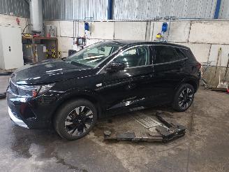 Démontage voiture Opel Grandland Grandland (X) SUV 1.2 Turbo 12V (HNS) [96kW]  (07-2018/...) 2023