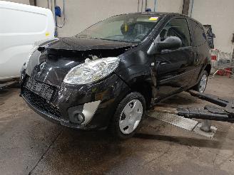  Renault Twingo Twingo II (CN) Hatchback 3-drs 1.2 16V (D4F-772(D4F-J7)) [56kW]  (03-2=
007/09-2014) 2009/6