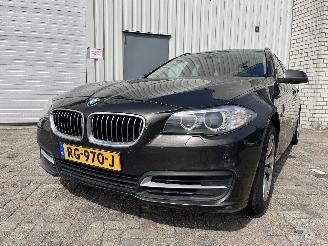 skadebil auto BMW 5-serie 5 serie Touring (F11) Combi 520d 16V (N47-D20C) [120kW]  (06-2010/02-2=
017) 2014/5