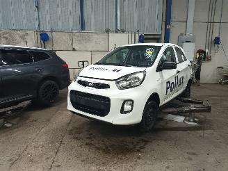 Sloopauto Kia Picanto Picanto (TA) Hatchback 1.0 12V (G3LA) [49kW]  (05-2011/06-2017) 2015/7