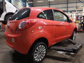 Ford Ka Ka II Hatchback 1.2 (169.A.4000(Euro 4; Euro 5)) [51kW]  (10-2008/05-2=
016) picture 3